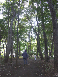 konomidori-blog1.jpg
