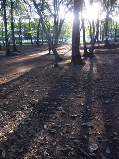 konomidori-blog4.jpg